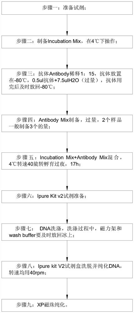 Detection method for capturing cfDNA5mC fragment