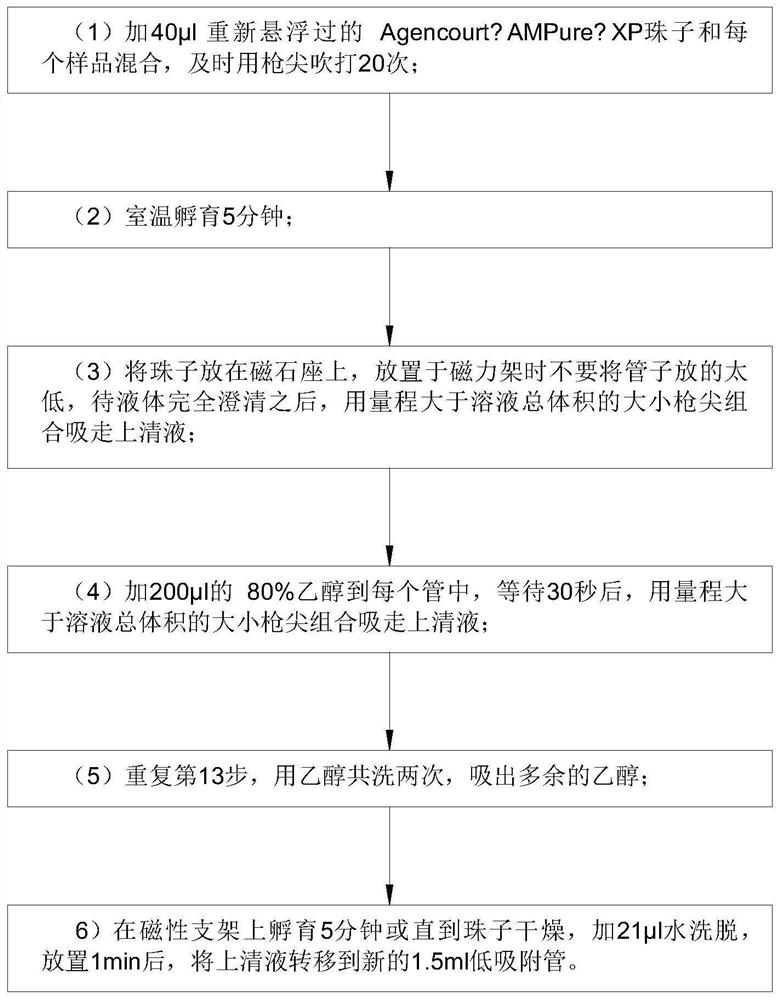 Detection method for capturing cfDNA5mC fragment