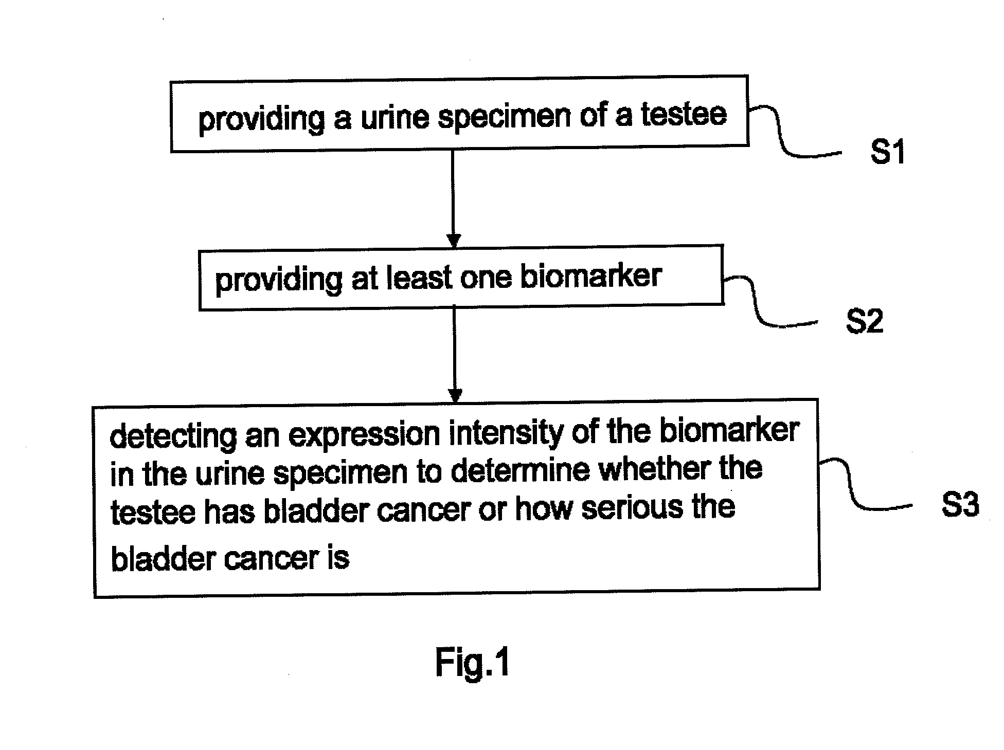 Bladder cancer biomarker and test method using the same