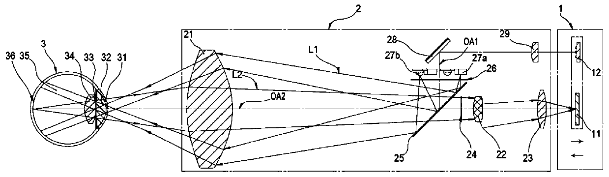 Fundus camera with coaxial lighting source and fixation light source