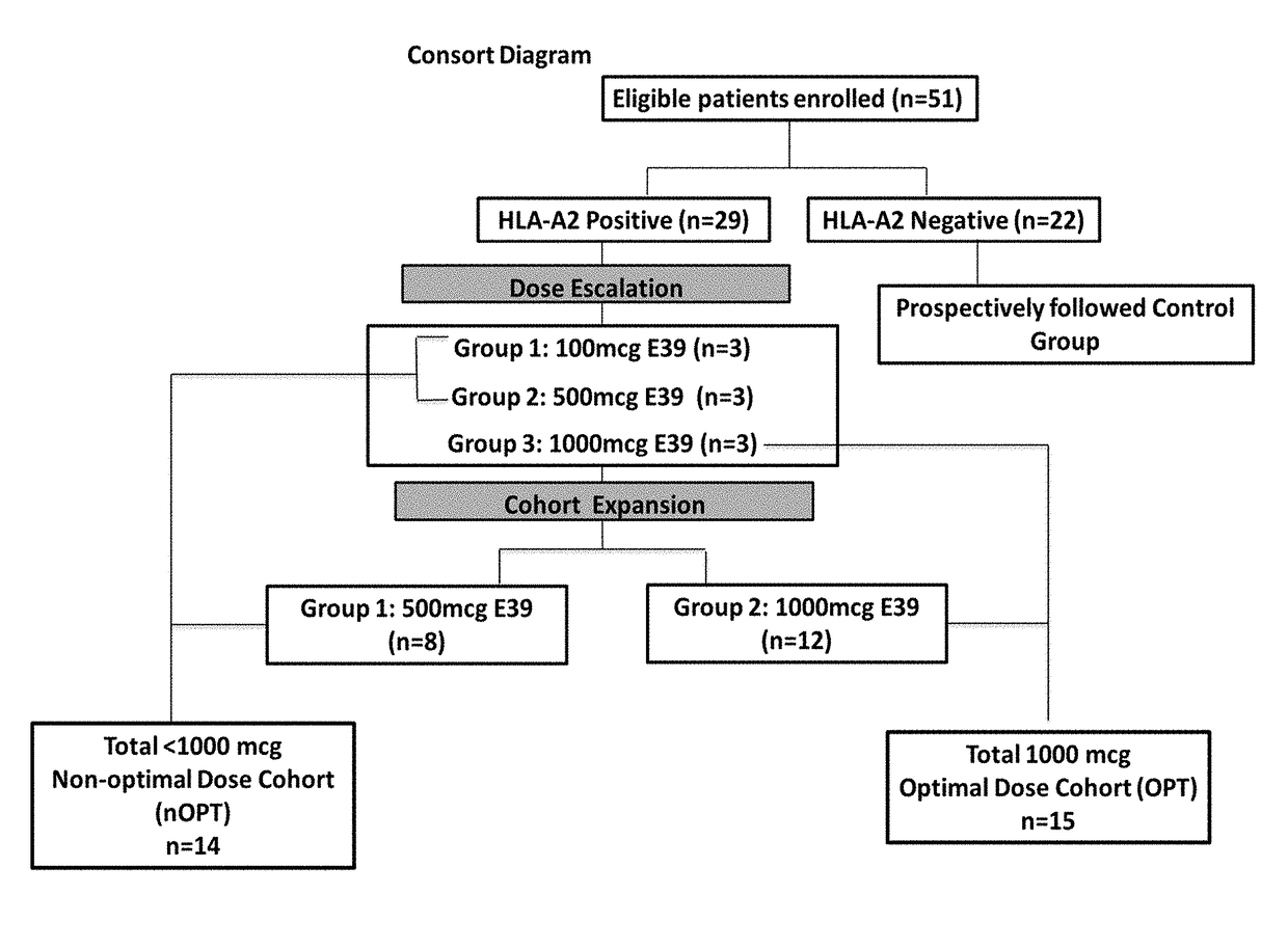 Vaccine therapy for treatment of endometrial and ovarian cancer