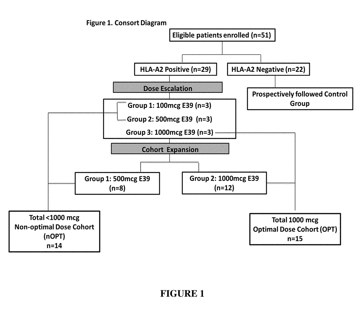 Vaccine therapy for treatment of endometrial and ovarian cancer