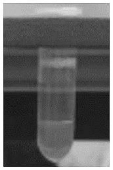 Preparation method and application of nano-particle functionalized artificial spider silk