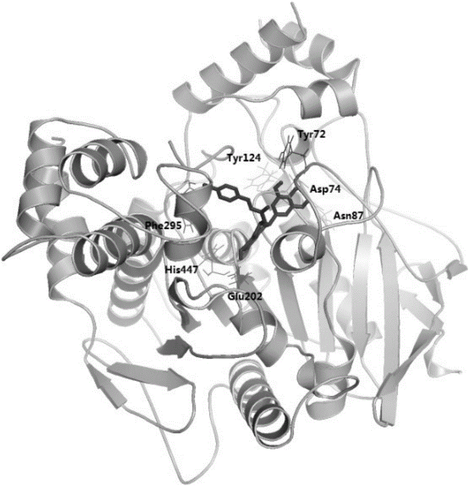 Catechin derivative and use thereof in preparation of acetylcholinesterase activity inhibition medicines