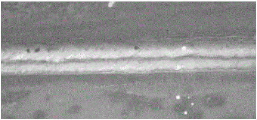 Armored steel plate single-way and single-layer pulse welding method