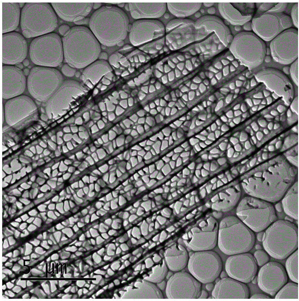 Method for preparing oxygen reduction catalyst by using insect wings as raw material