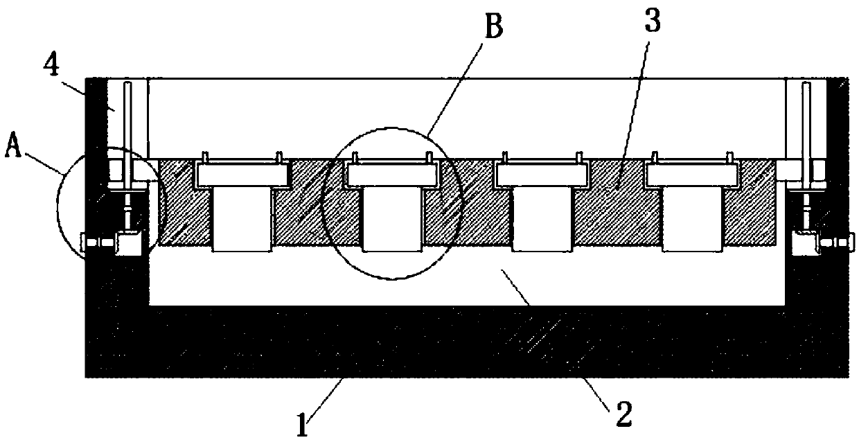 Rice seedling raising device