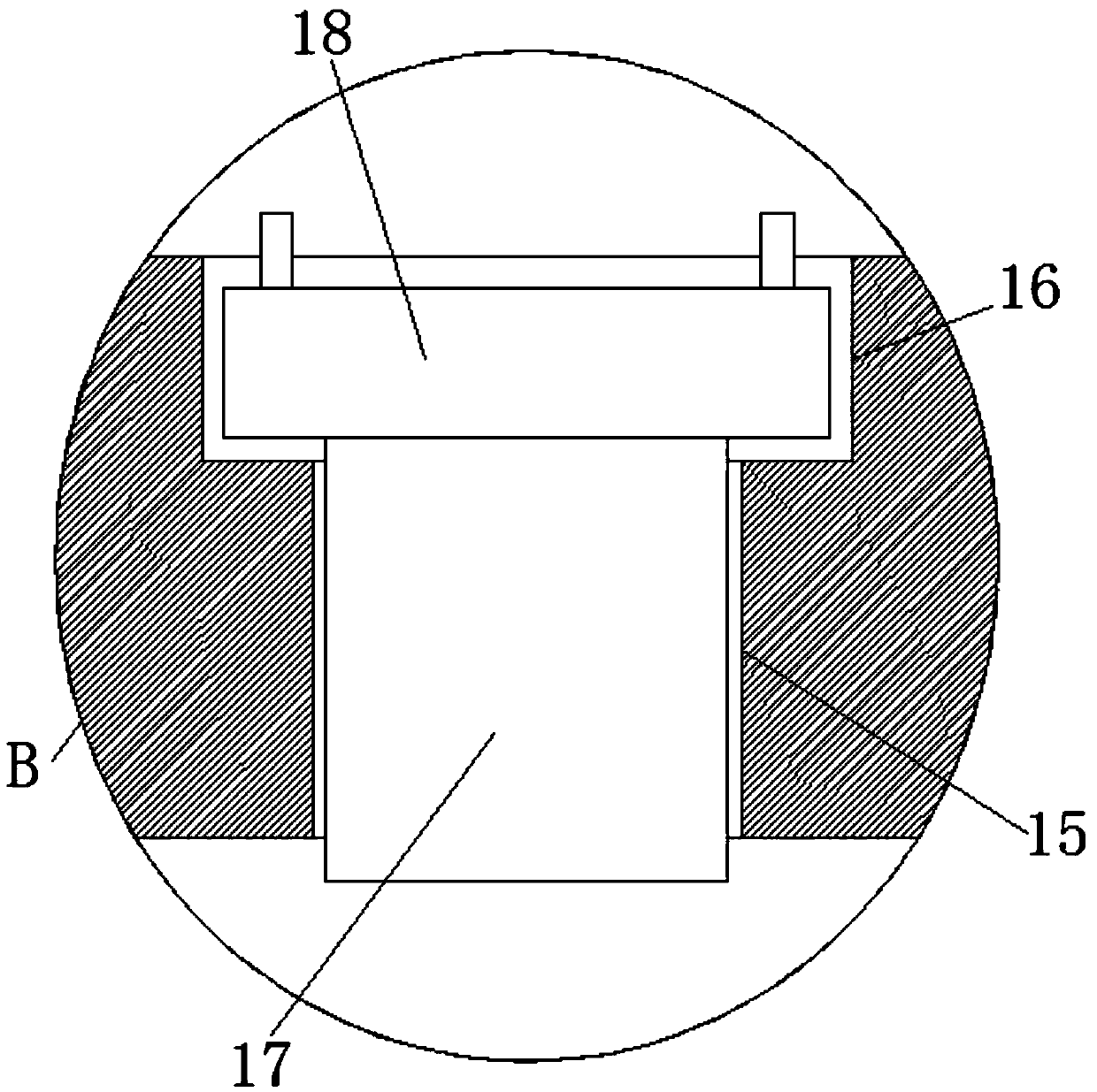 Rice seedling raising device