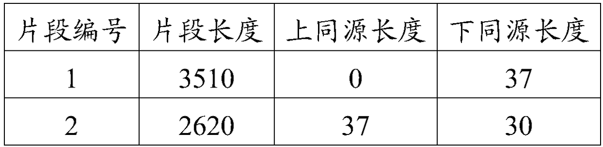 DNA-based Information Storage Method