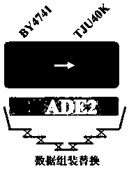 DNA-based Information Storage Method