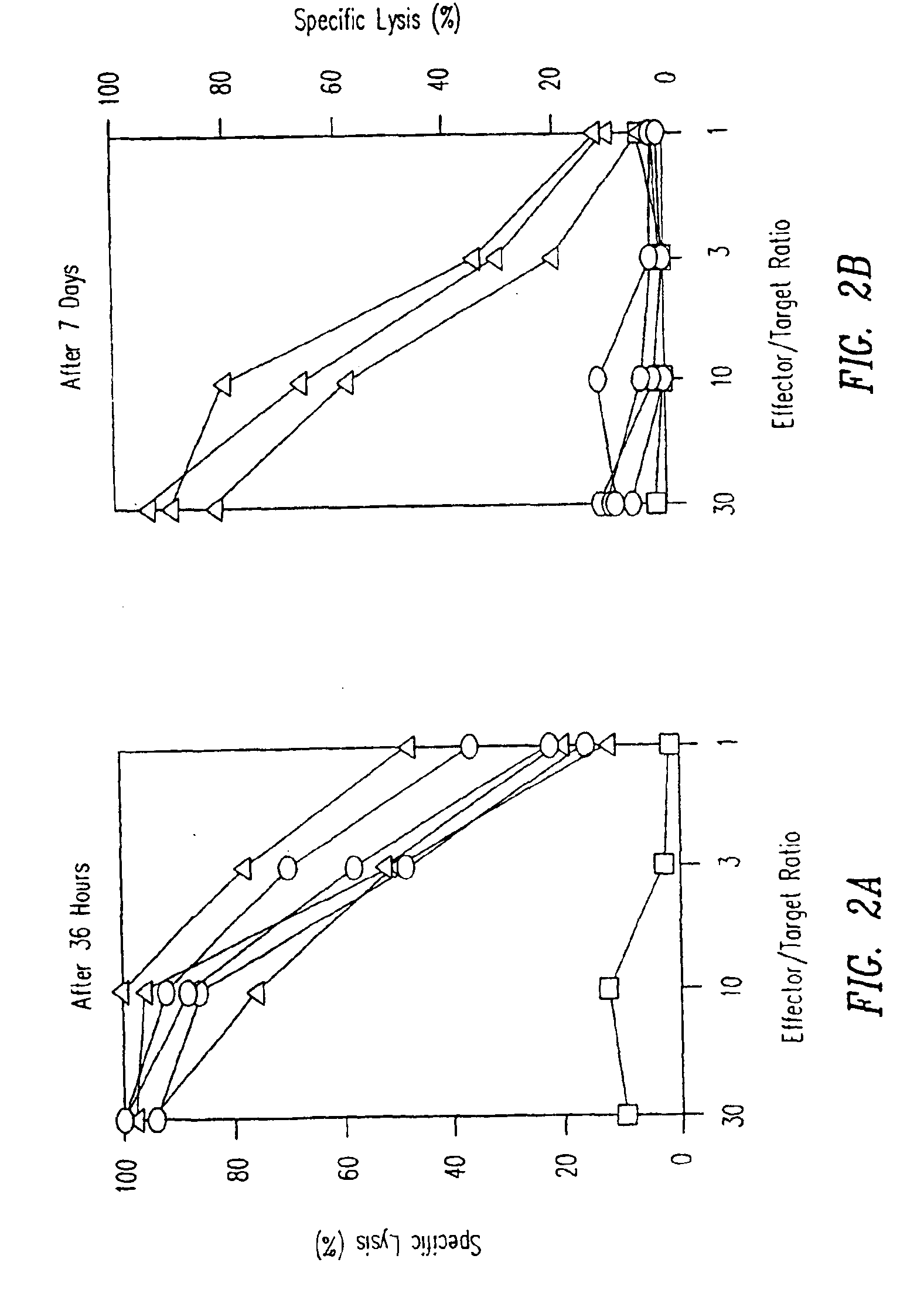 Method of inducing a CTL response