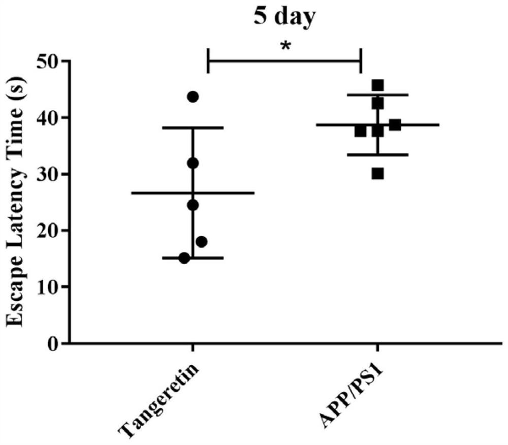 Application of hesperetin in preparation of drug for inhibiting activity of beta secretase