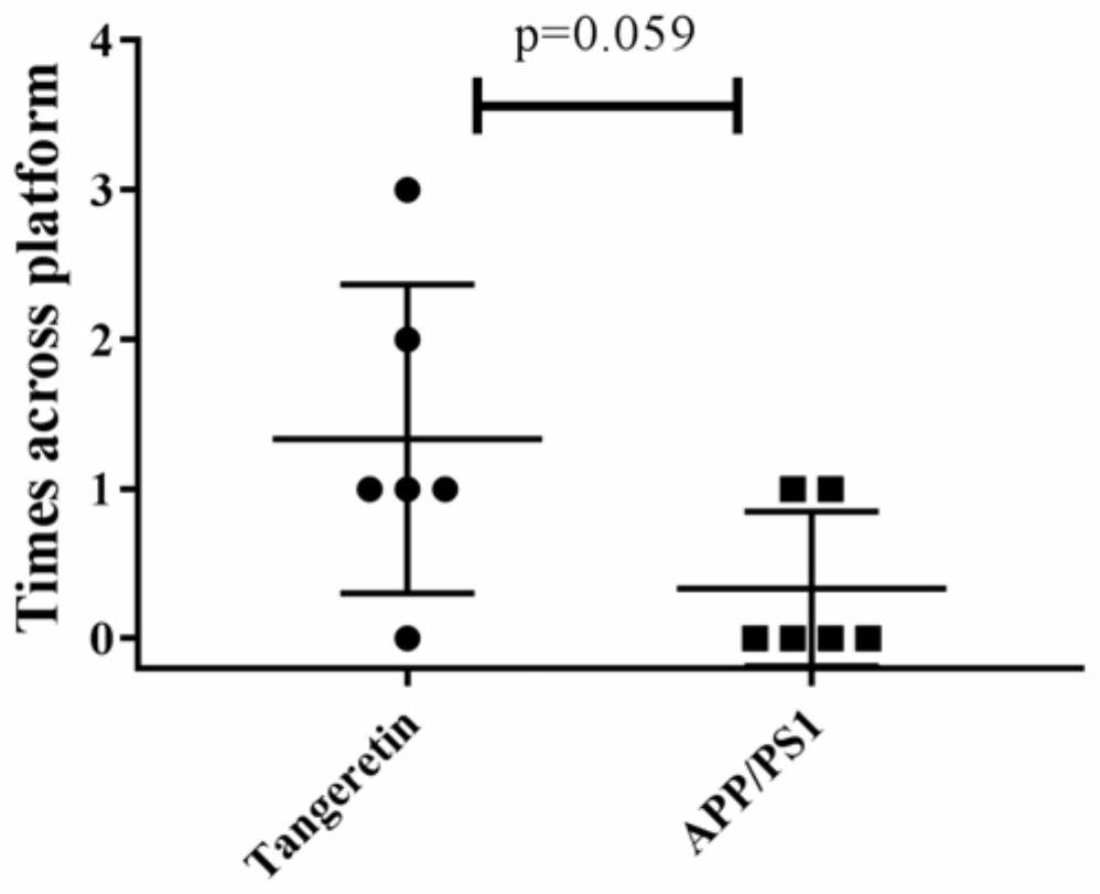 Application of hesperetin in preparation of drug for inhibiting activity of beta secretase