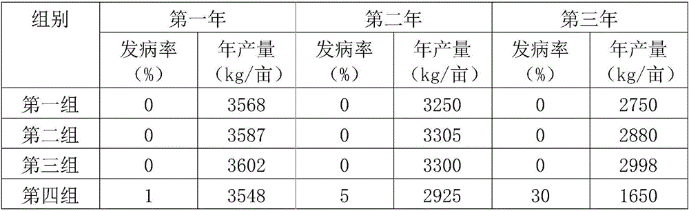 Banana panama disease Chinese herbal medicine prevention and treatment agent and preparation method thereof