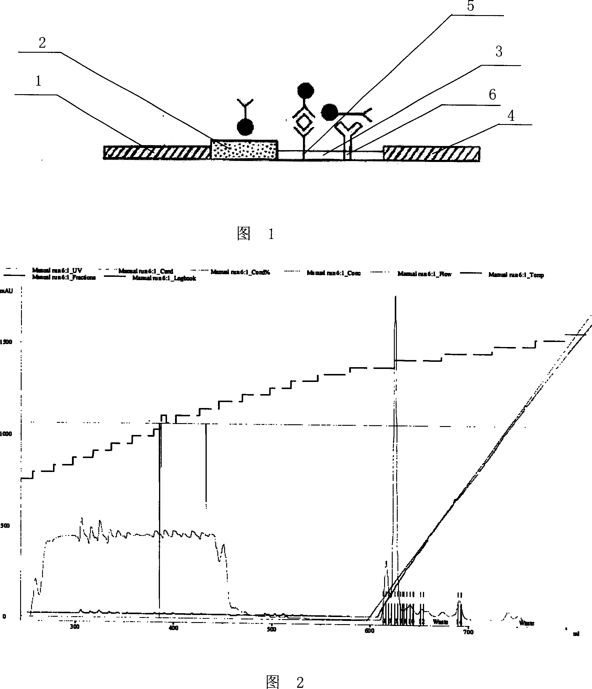 Immunochromatographic assay test paper for detecting staphylococcal enterotoxin B and preparation method thereof