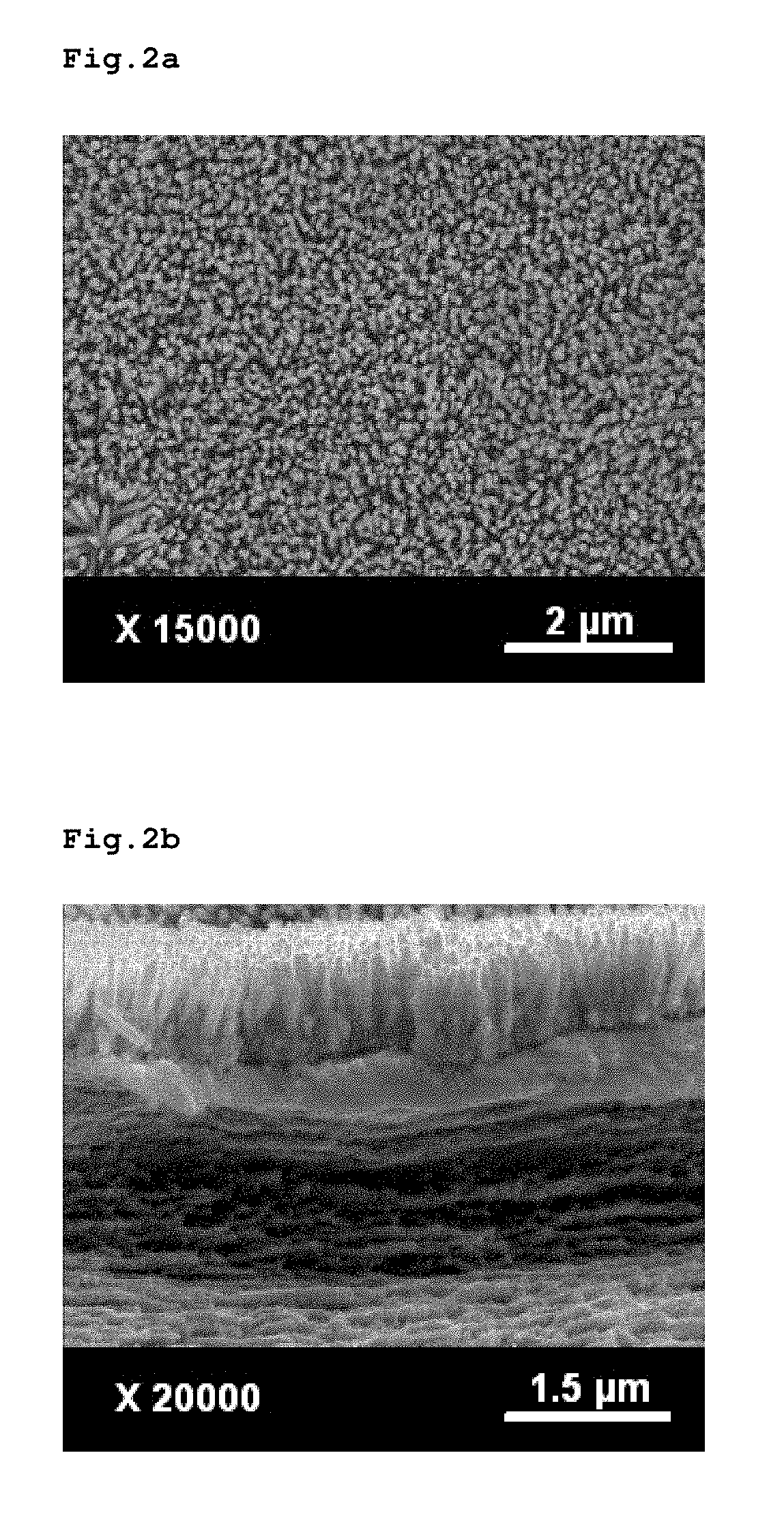 Zinc oxide-cellulose nanocomposite and preparation method thereof