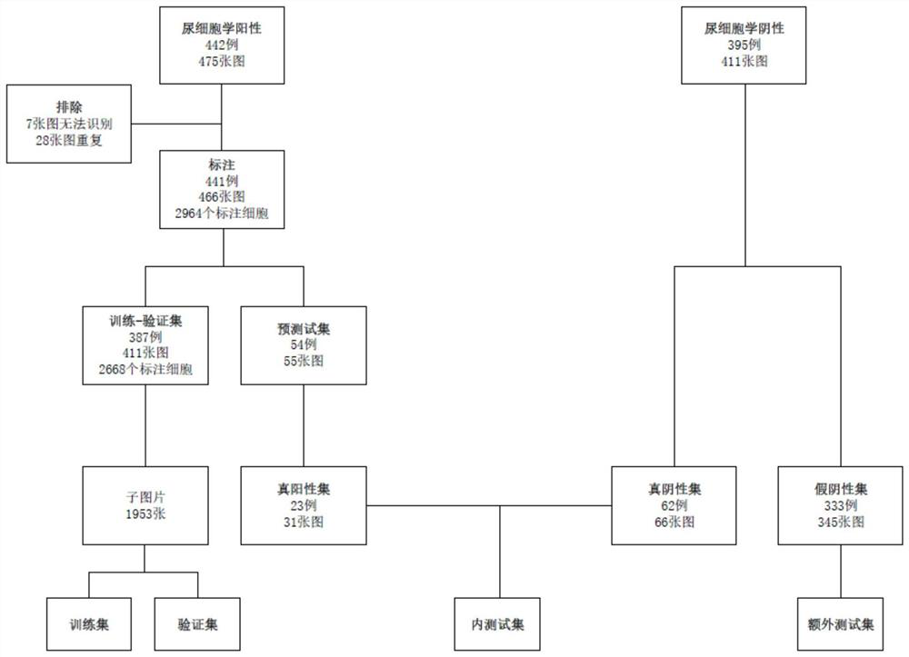 Urinary cytology artificial intelligence urinary tract epithelium cancer identification system