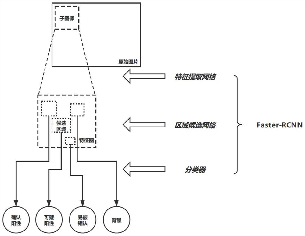 Urinary cytology artificial intelligence urinary tract epithelium cancer identification system