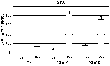 Method for improving inductive generation efficiency of induced pluripotent stem cells