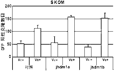 Method for improving inductive generation efficiency of induced pluripotent stem cells