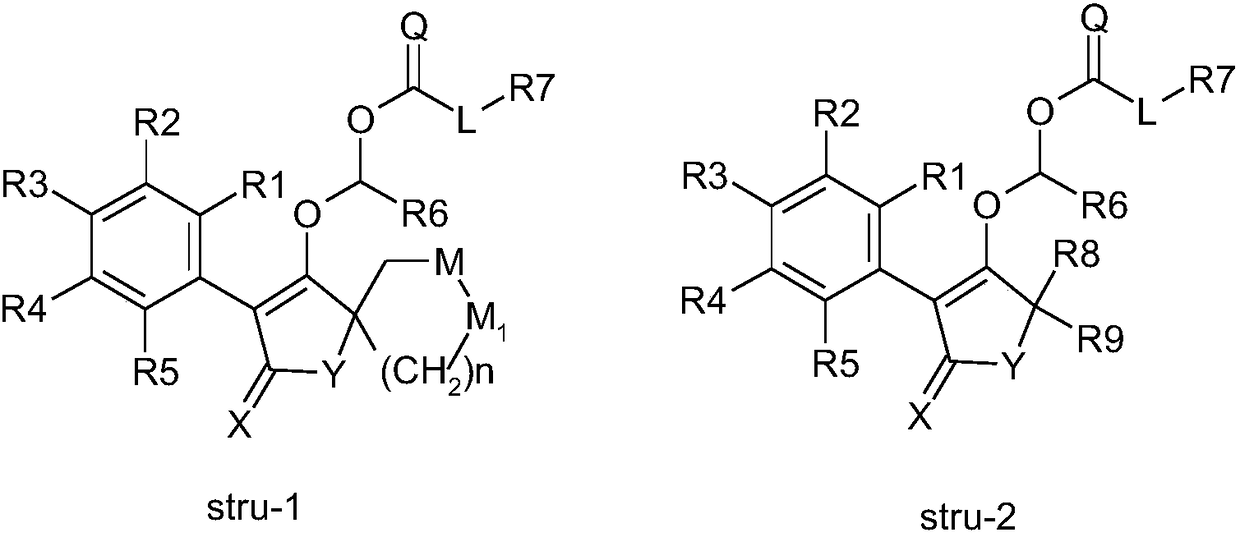 Tetronic acid derivative and preparation method and application thereof