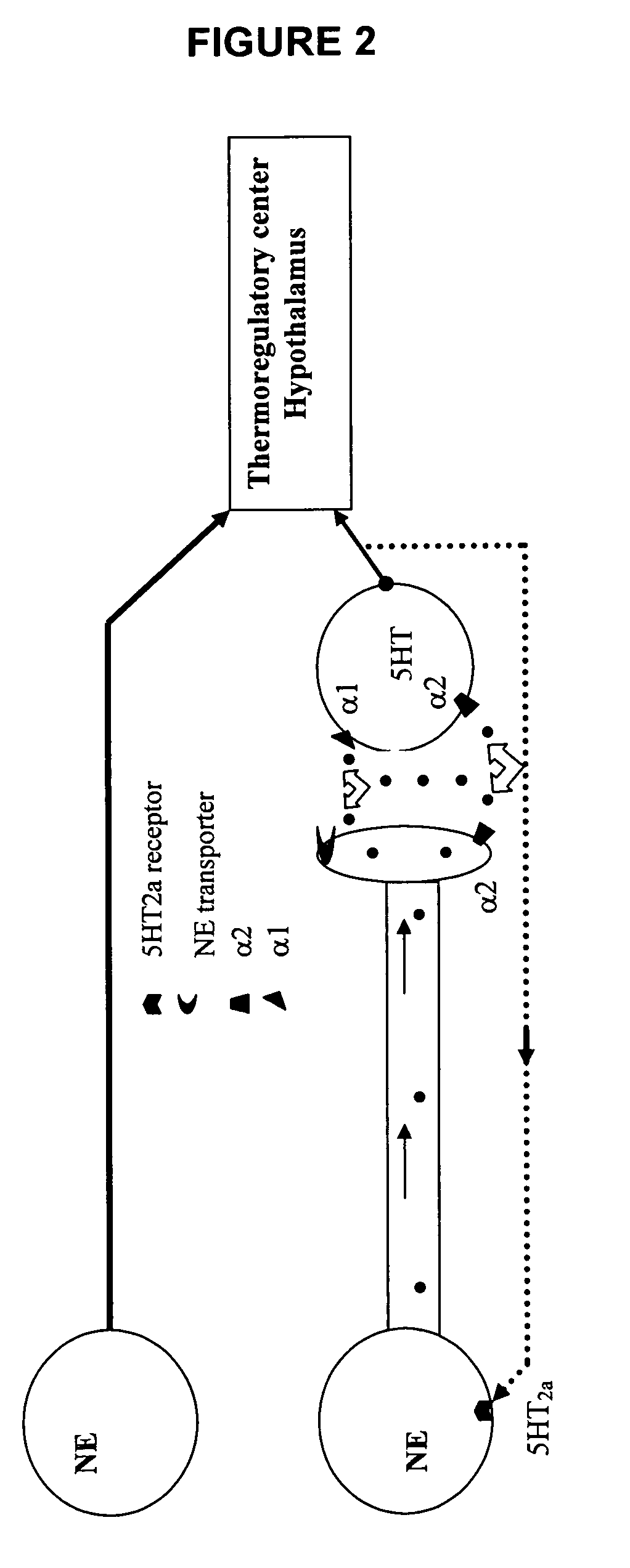 Benzothiadiazolylphenylalkylamine derivatives and methods of their use