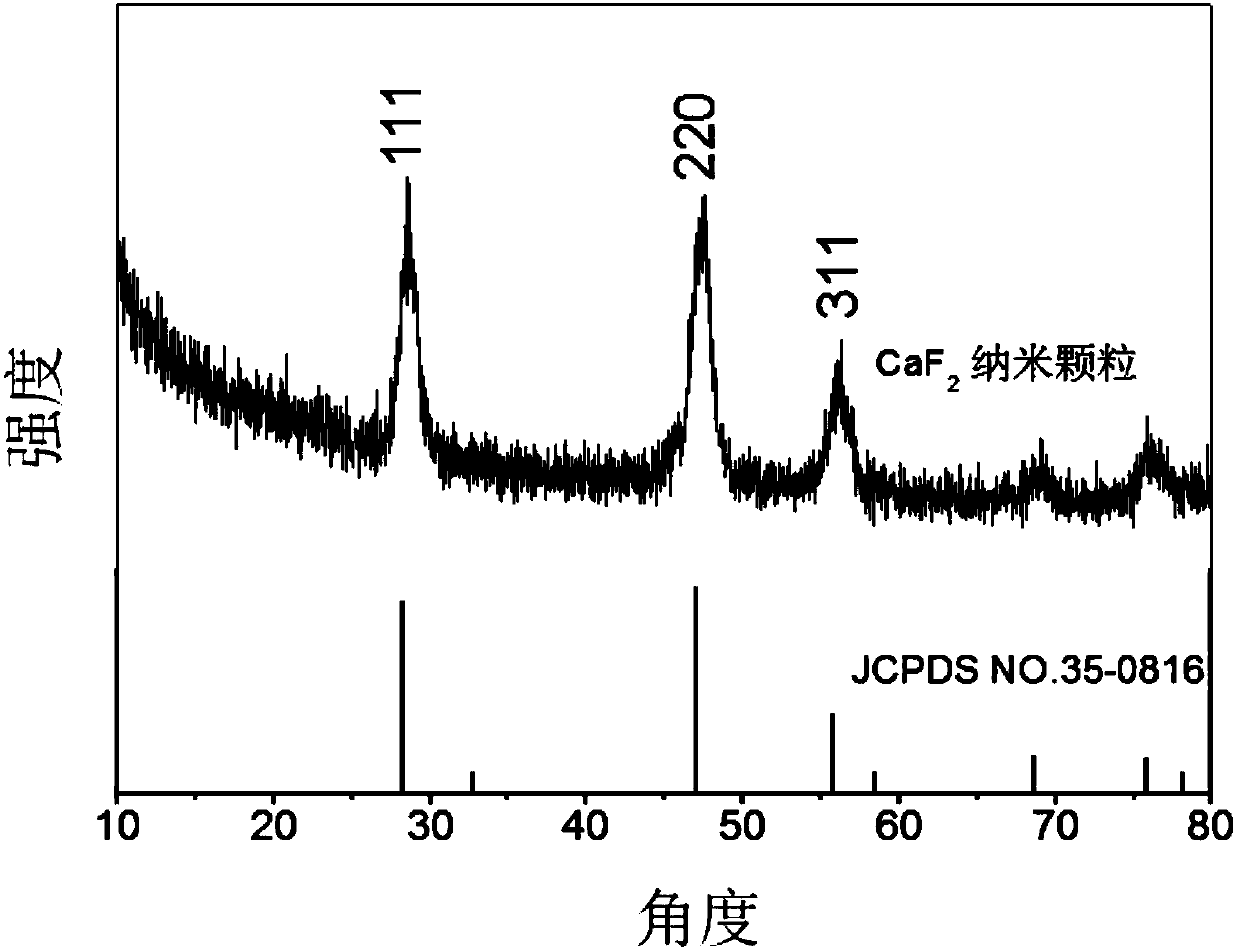 Method for producing sub 10-nanometer calcium fluoride core-shell nanocrystal and application thereof in nuclear magnetic resonance