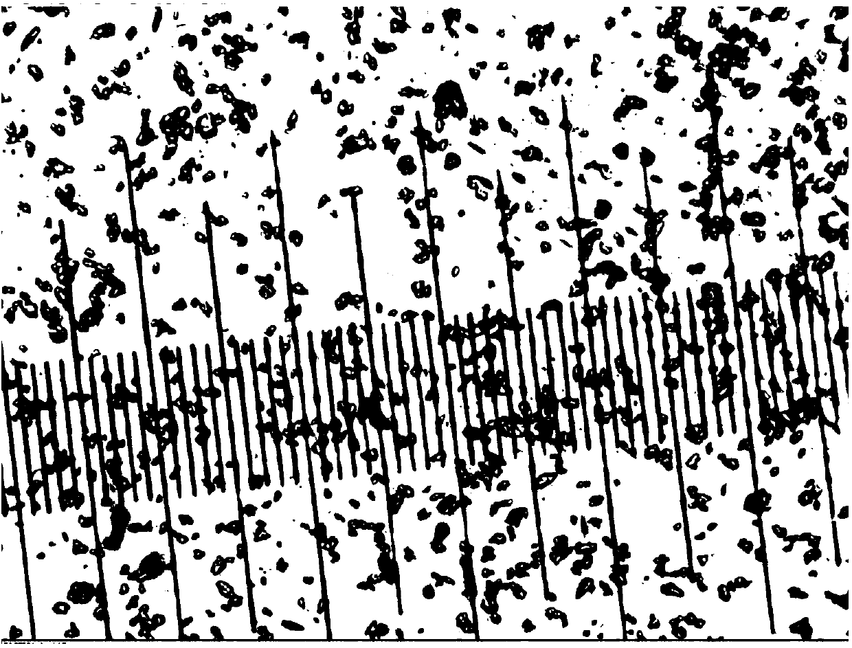 Medicinal preparation and preparation method and application thereof