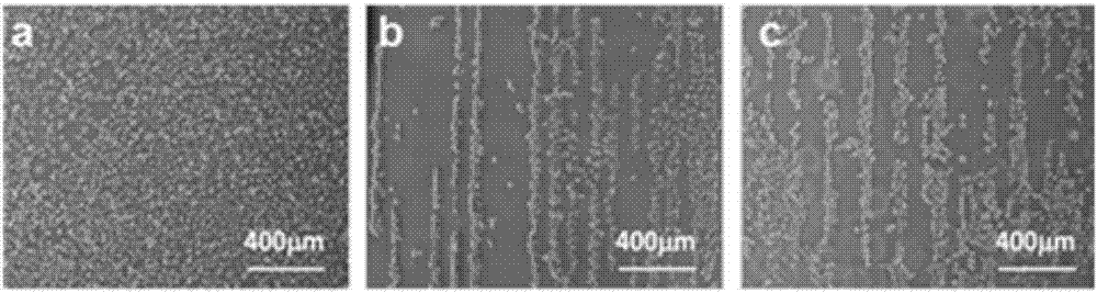 Method of building specificity endothelial cell growth promoting anticoagulant surface