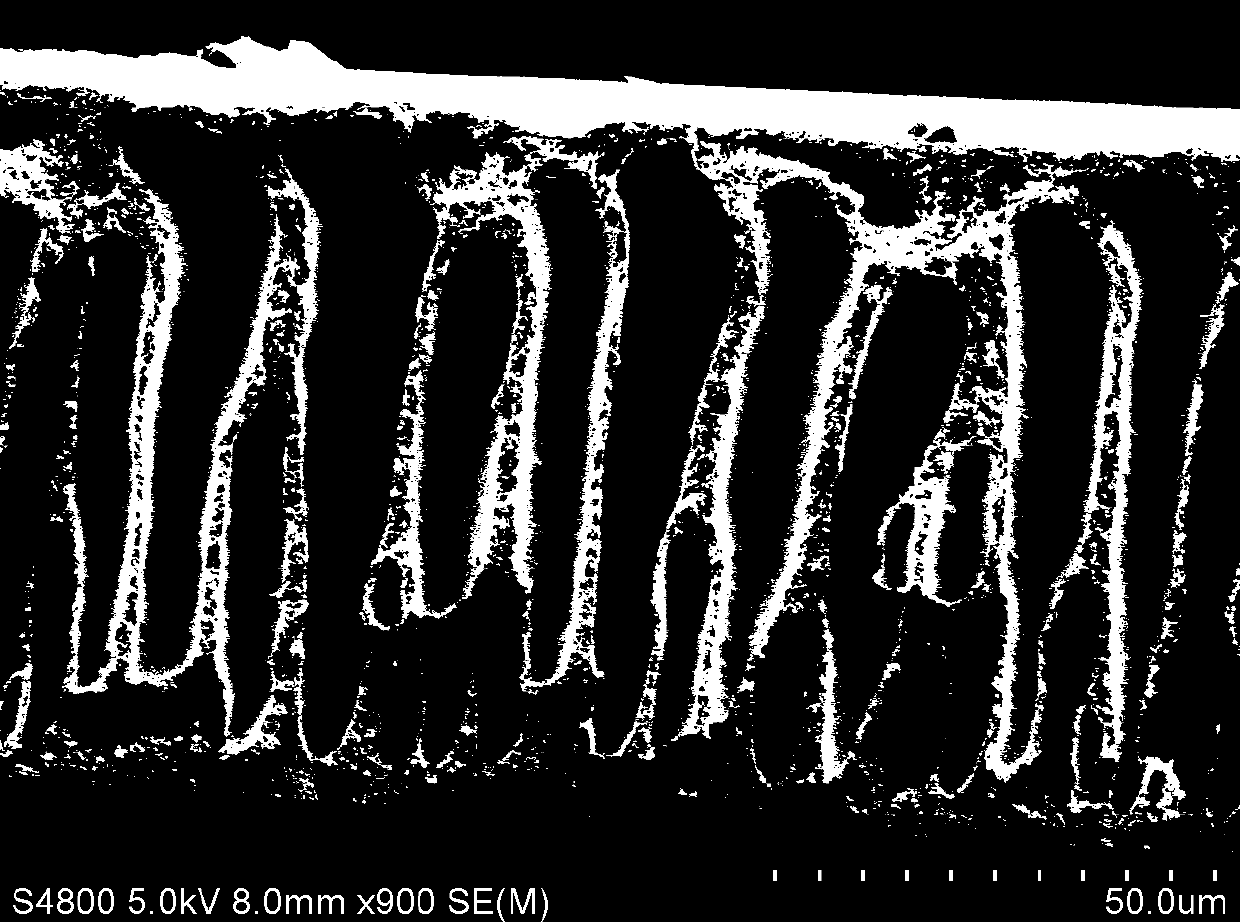 Asymmetric polyimide film for separating methyl cyclopentadiene and cyclopentadiene