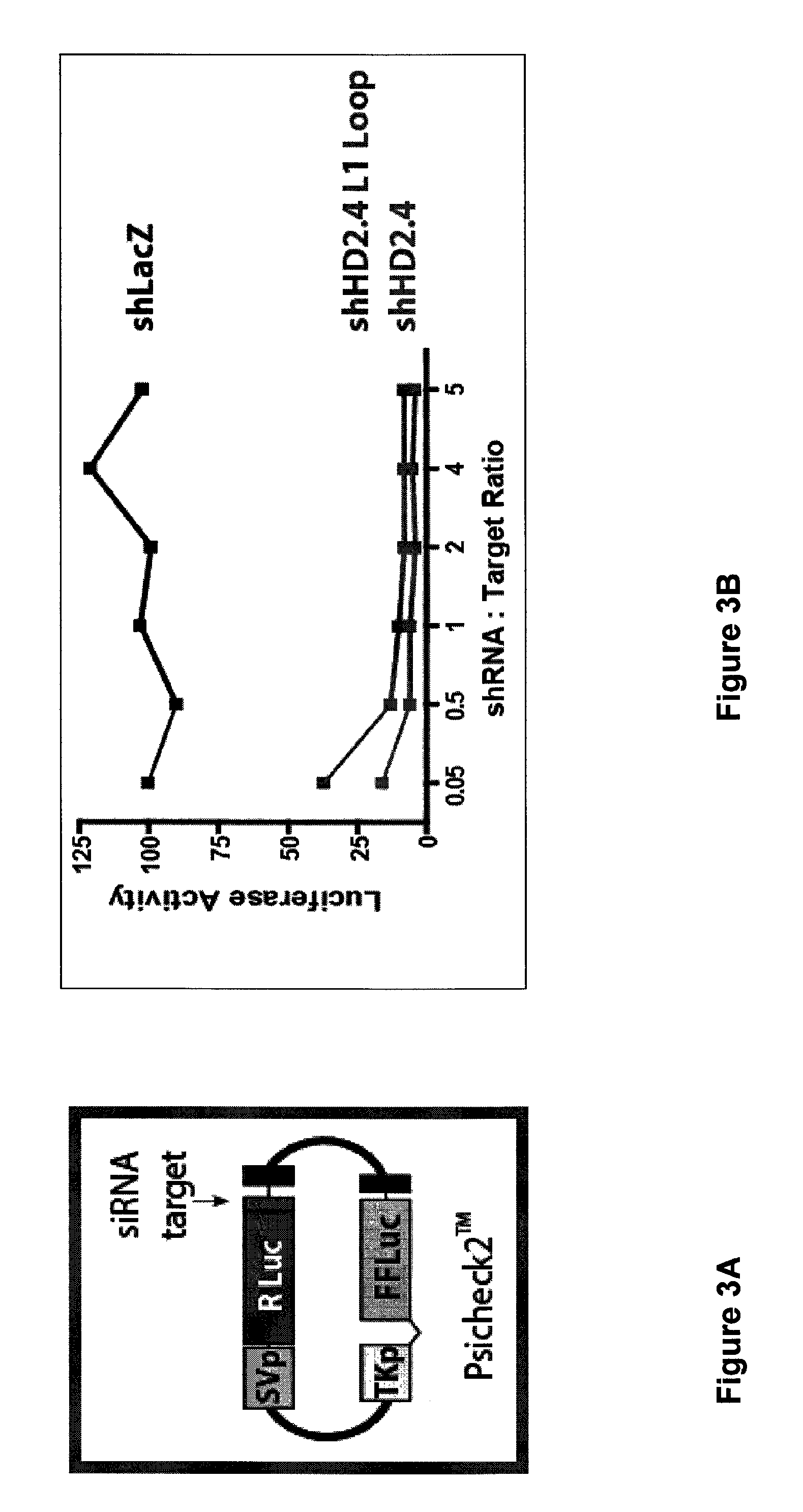 Alternative export pathways for vector expressed RNA interference