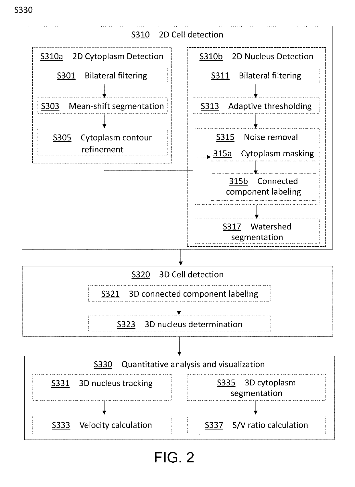 Method and apparatus for image processing and visualization for analyzing cell kinematics in cell culture