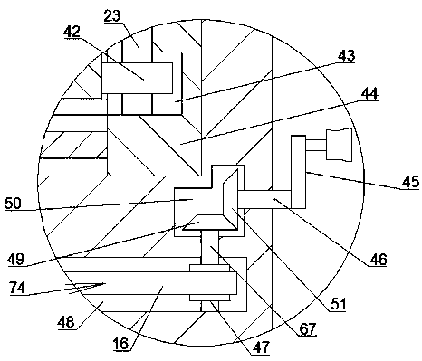 Animal embryo refrigeration cabinet having convenience in observation