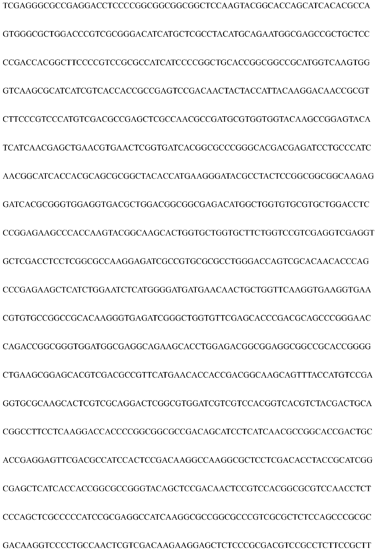 Rice nitrate reductase NIA3 protein gene OsNia3 and application thereof