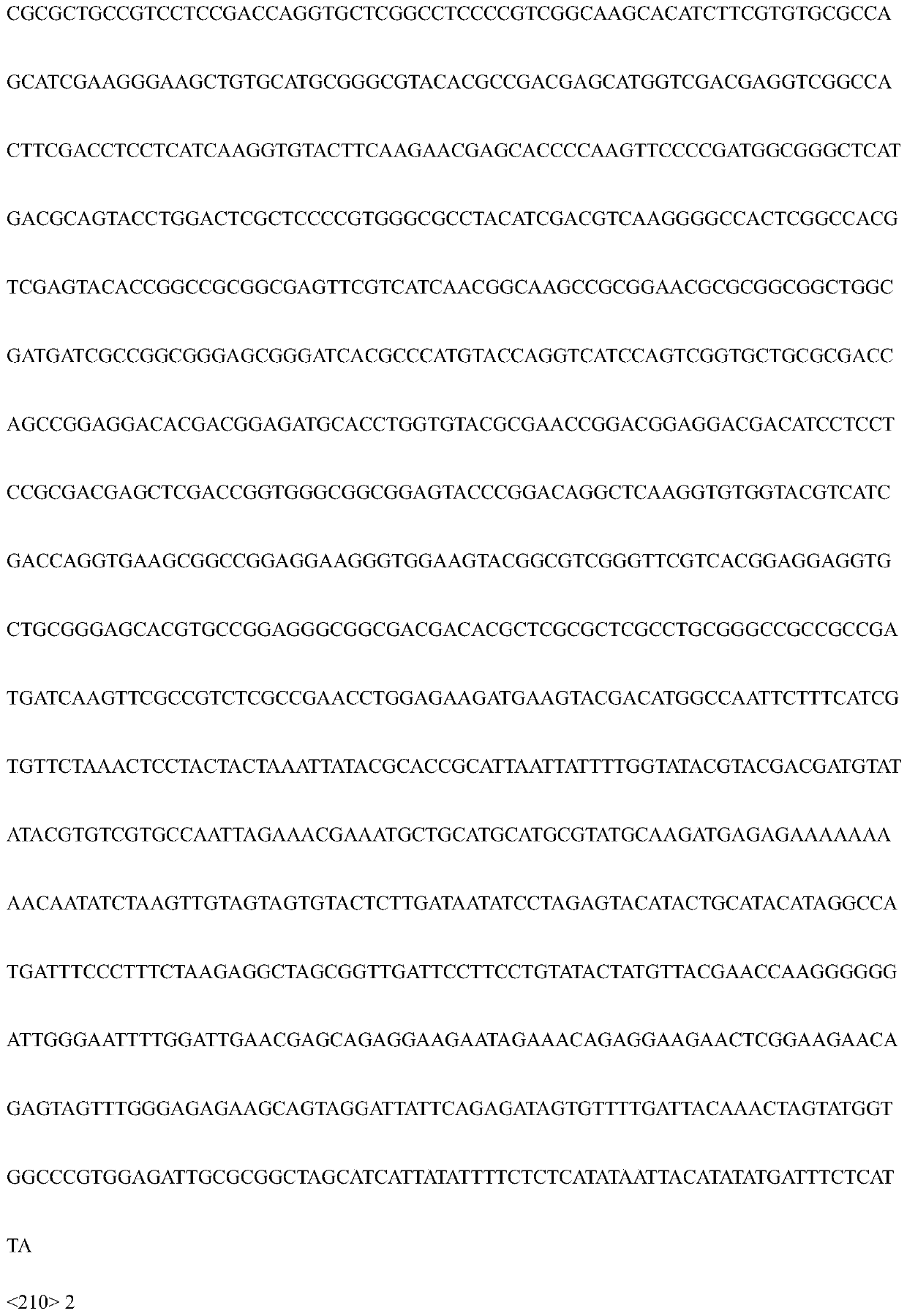 Rice nitrate reductase NIA3 protein gene OsNia3 and application thereof