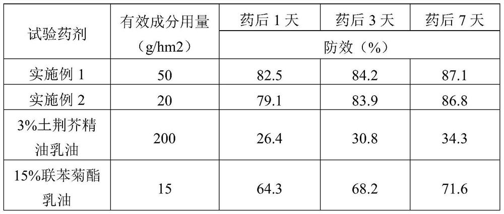 A synergistic insecticide composition containing Nepeta essential oil and its application