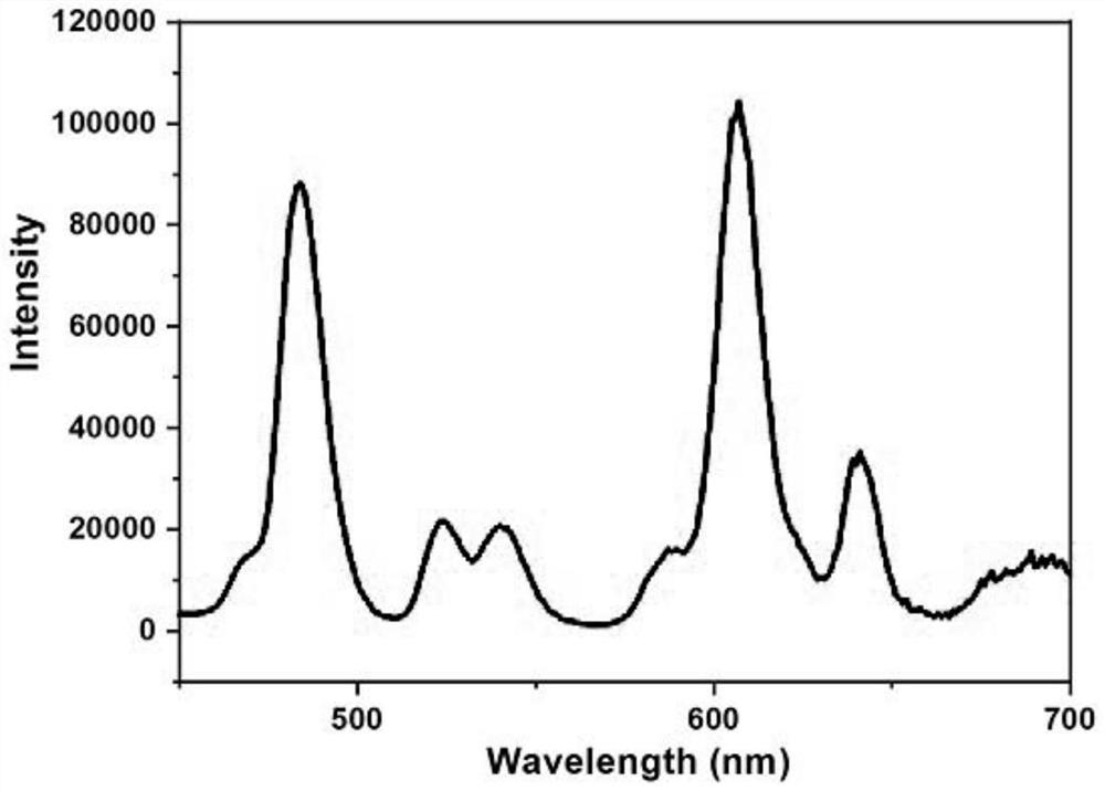 COVID-19 IgG/IgM detection kit, detection card, rare earth nanoprobe and preparation method thereof