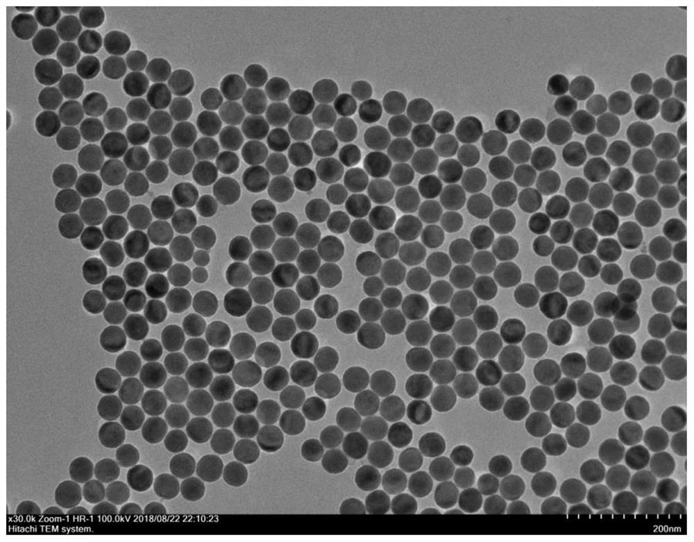 COVID-19 IgG/IgM detection kit, detection card, rare earth nanoprobe and preparation method thereof