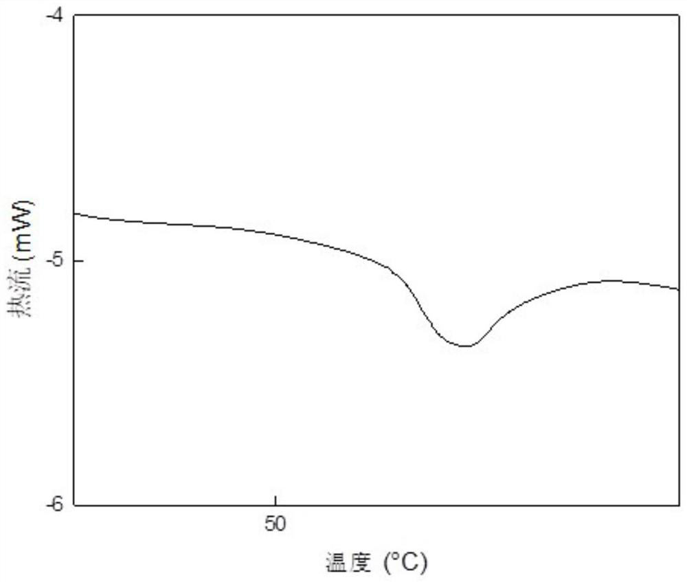 A kind of microcapsule type potato whole powder and its preparation method and application