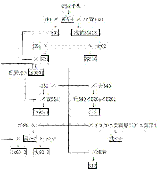 Synthetic method of original colony for corn breeding for reciprocal recurrent selection