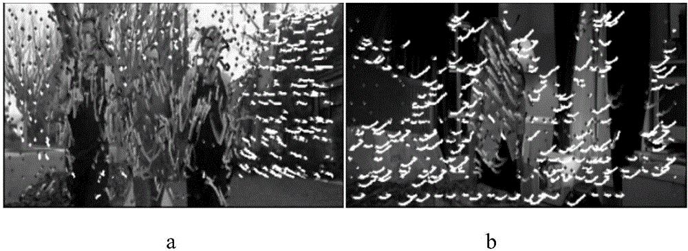 Track and convolutional neural network feature extraction-based behavior identification method