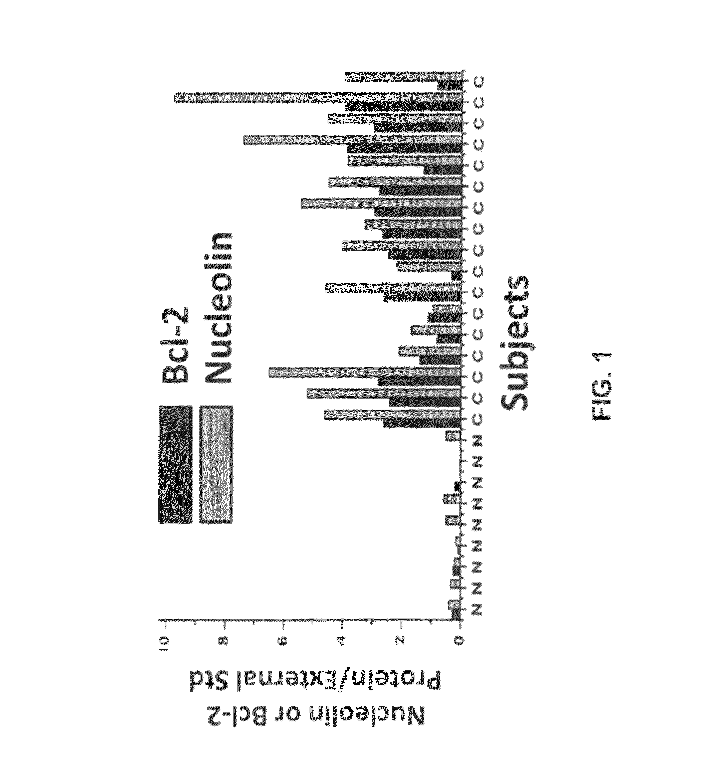 Human monoclonal antibodies to human nucleolin