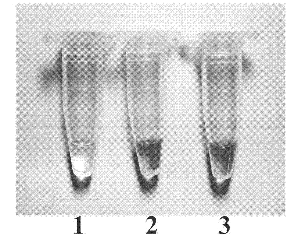 Visualized detection method of BAR transgenic crops