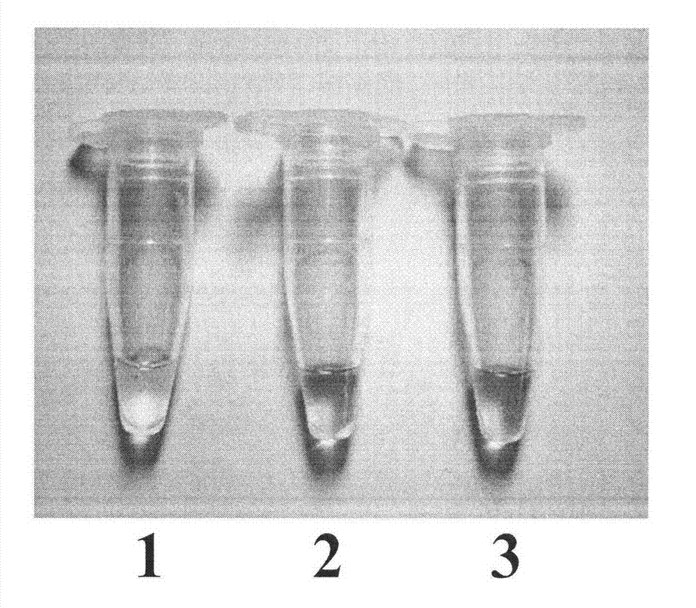 Visualized detection method of BAR transgenic crops