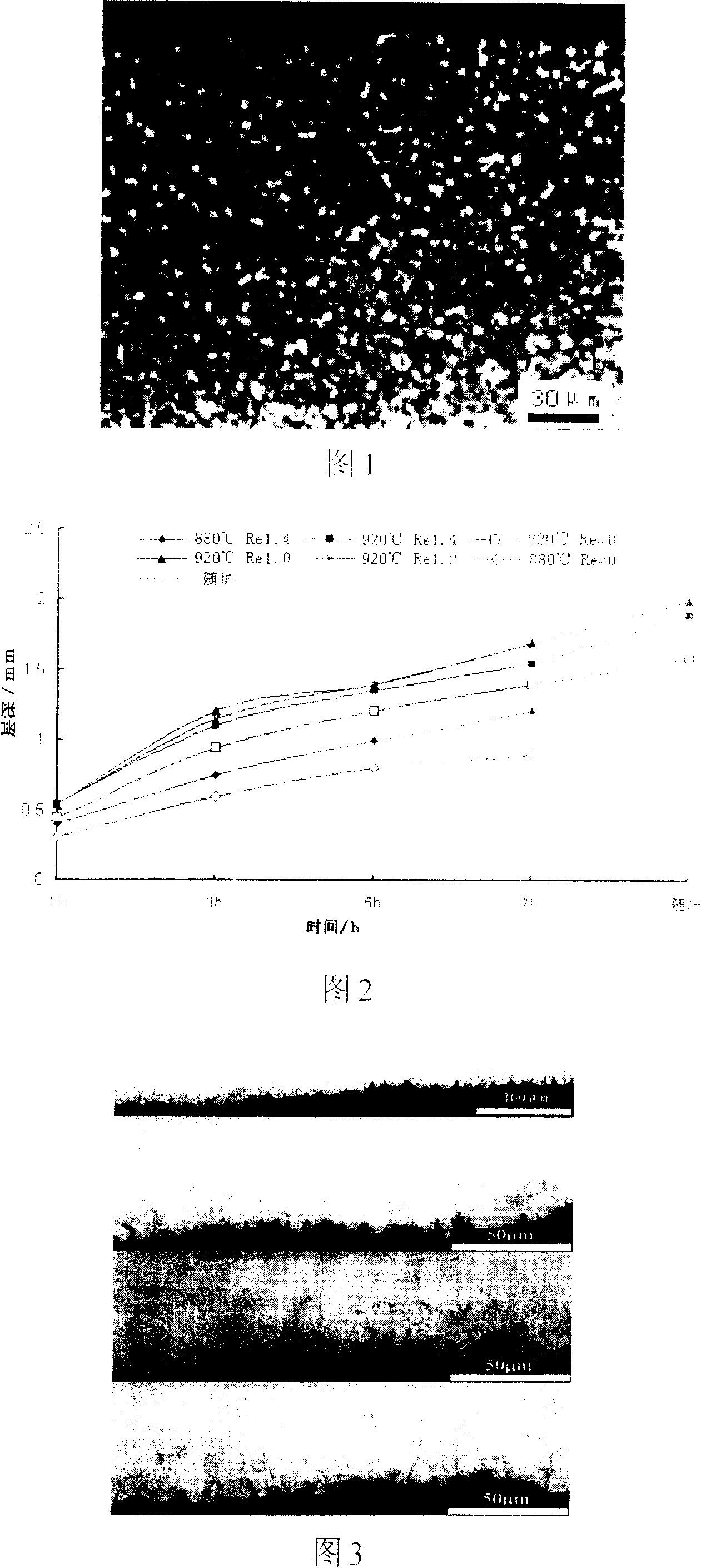 Permeation promoter for organic RE chemical heat treatment and its application