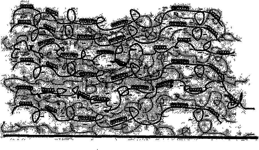 Compound film enhanced by inclusion complex of ring molecule and polymer and preparation method thereof