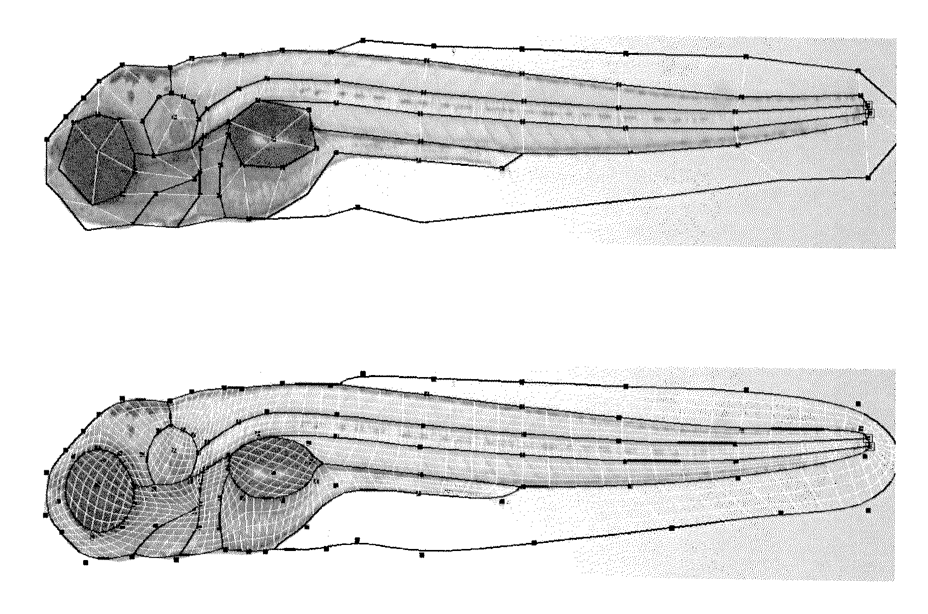 Systems and methods for automated extraction of high-content information from whole organisms