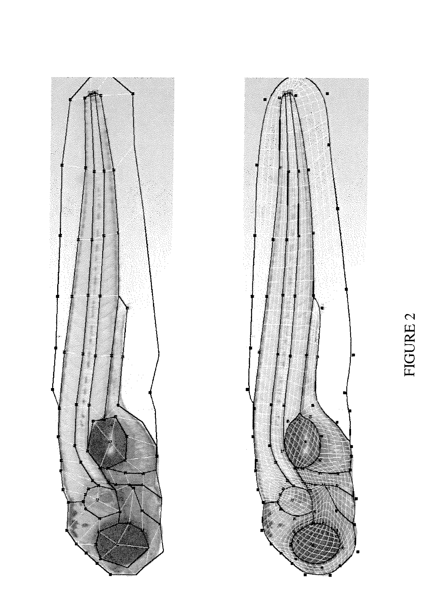 Systems and methods for automated extraction of high-content information from whole organisms