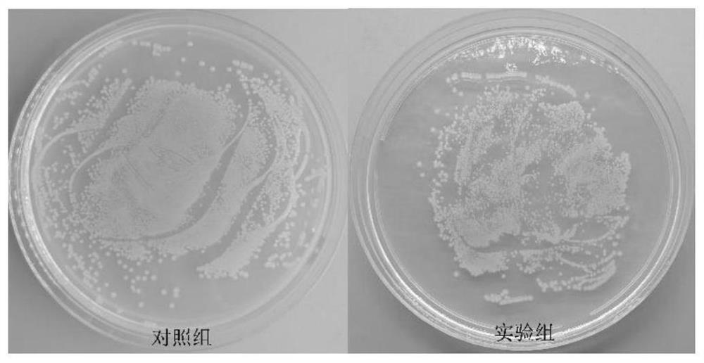 Water-soluble antibacterial spray and application thereof