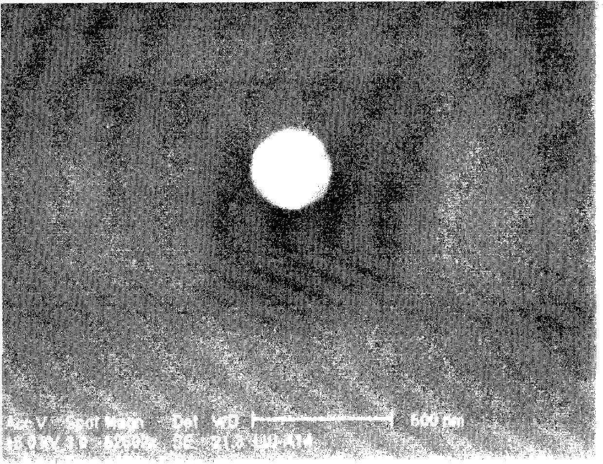 Insulator with diamond protective layer and production method thereof